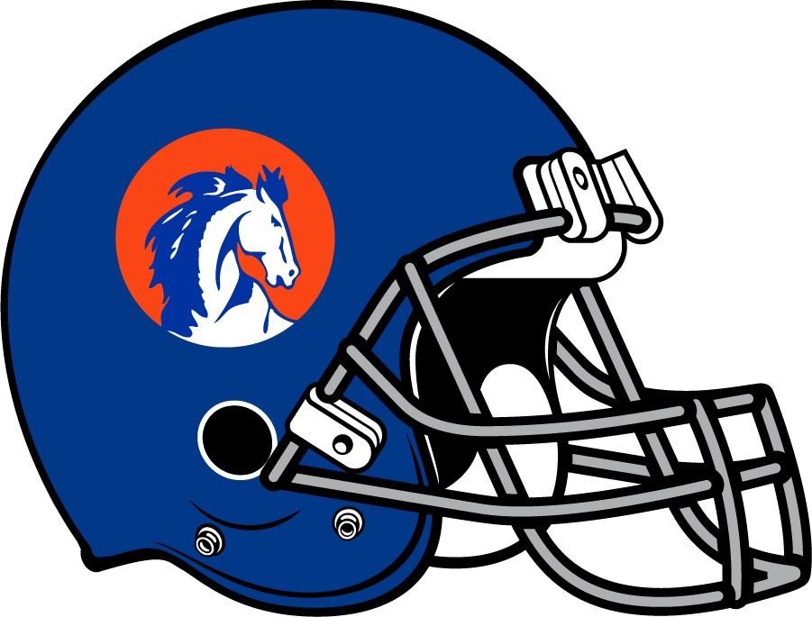 Boise State Broncos 1972-1973 Helmet Logo DIY iron on transfer (heat transfer)